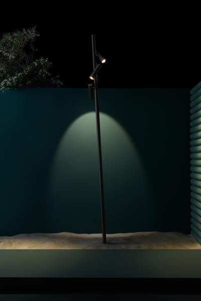 LX Juncus